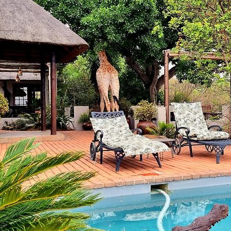 Graceland Eco Retreat Magoebaskloof Dış mekan fotoğraf