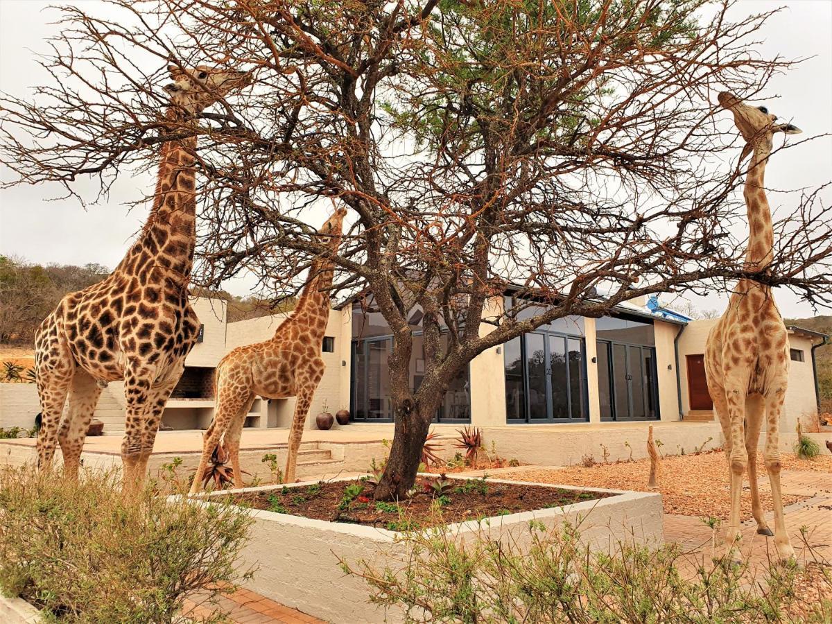 Graceland Eco Retreat Magoebaskloof Dış mekan fotoğraf