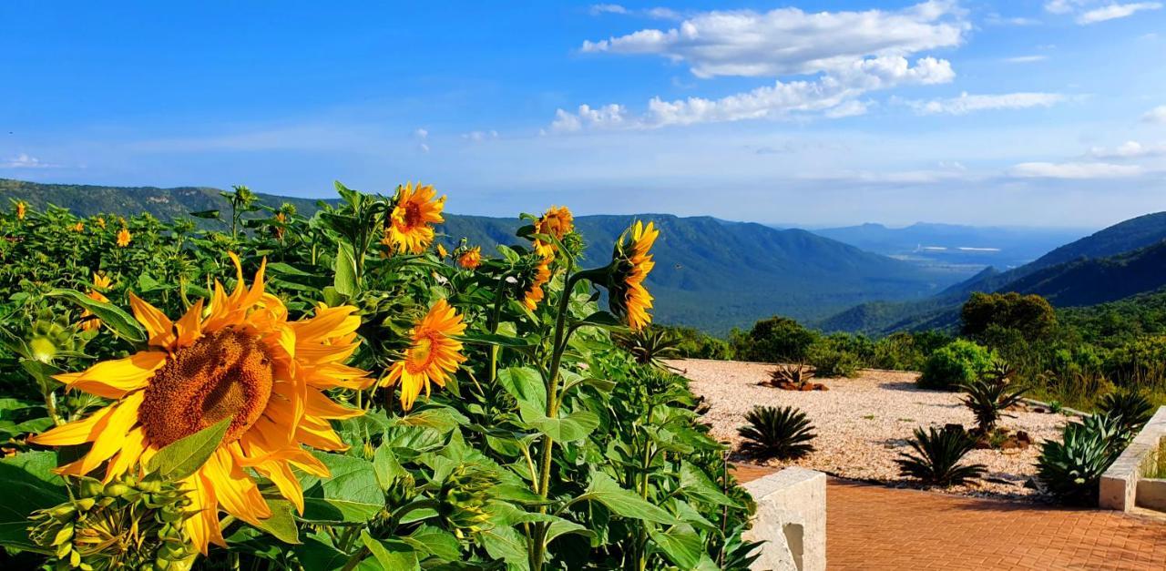 Graceland Eco Retreat Magoebaskloof Dış mekan fotoğraf