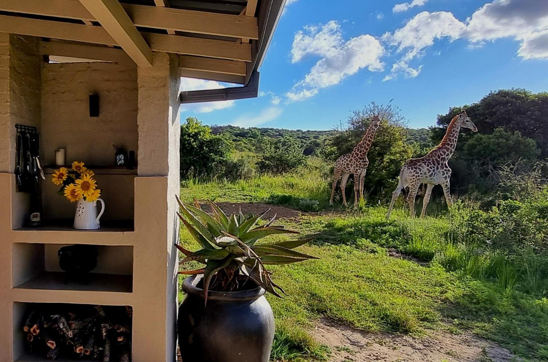 Graceland Eco Retreat Magoebaskloof Dış mekan fotoğraf