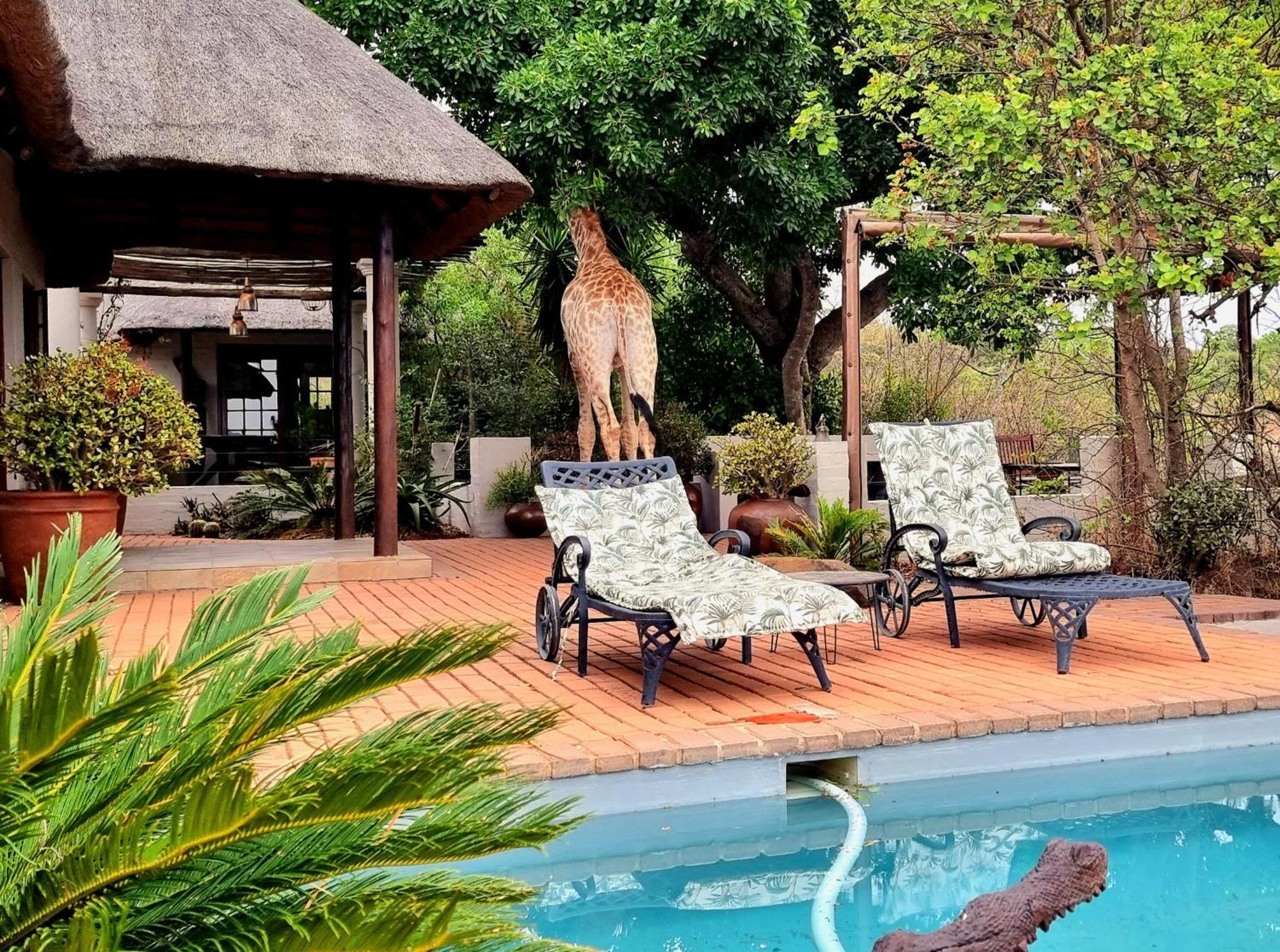 Graceland Eco Retreat Magoebaskloof Dış mekan fotoğraf