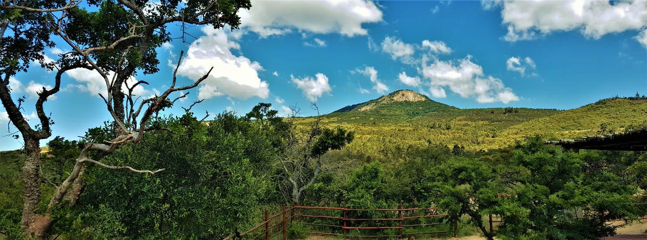 Graceland Eco Retreat Magoebaskloof Dış mekan fotoğraf