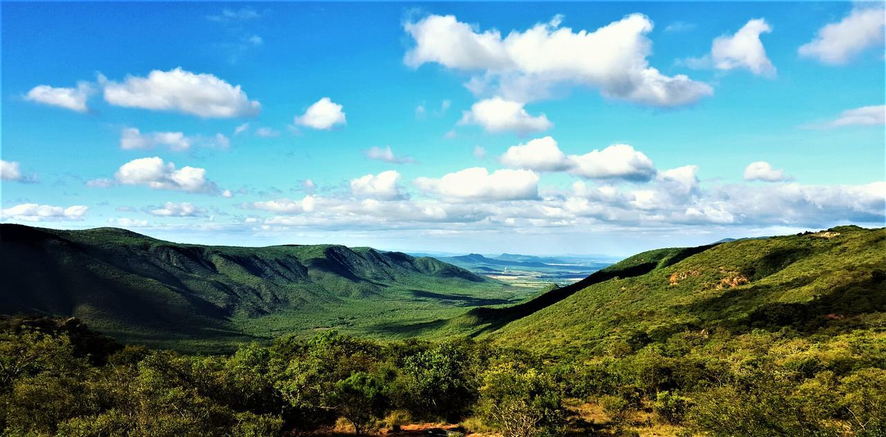 Graceland Eco Retreat Magoebaskloof Dış mekan fotoğraf