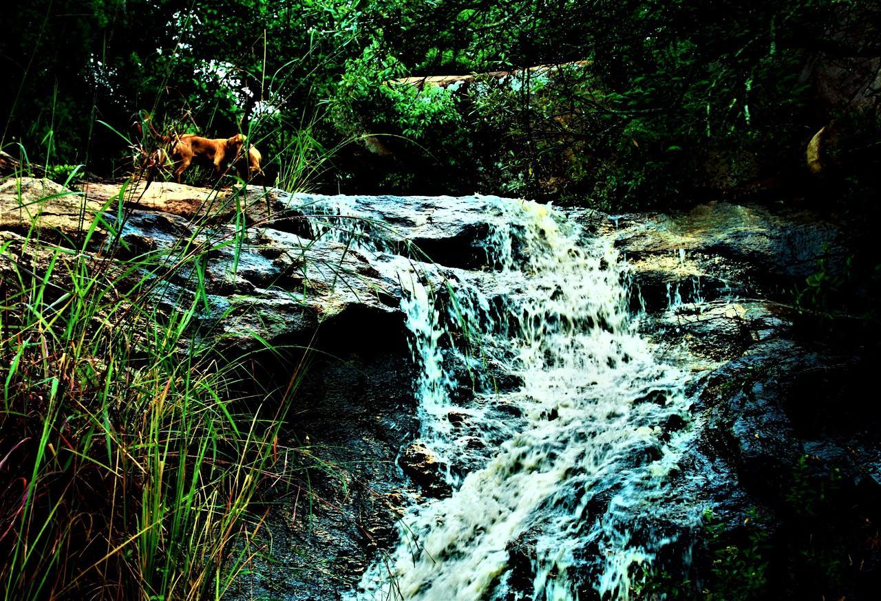 Graceland Eco Retreat Magoebaskloof Dış mekan fotoğraf