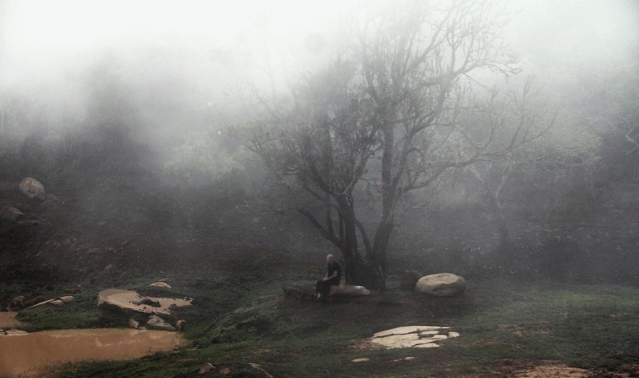 Graceland Eco Retreat Magoebaskloof Dış mekan fotoğraf